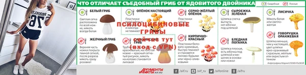 крисы Арсеньев
